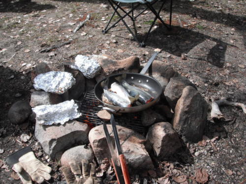 fish_frying_May_2011