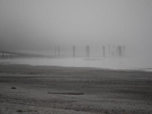 foggy_day_at_the_dock