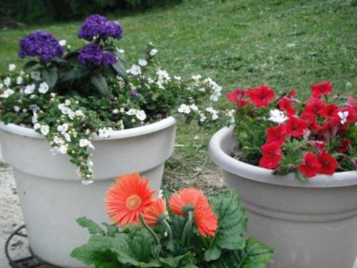 planters_at_the_lodge