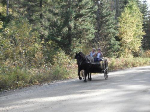 sue_and_judy_and_connor_clippin_along