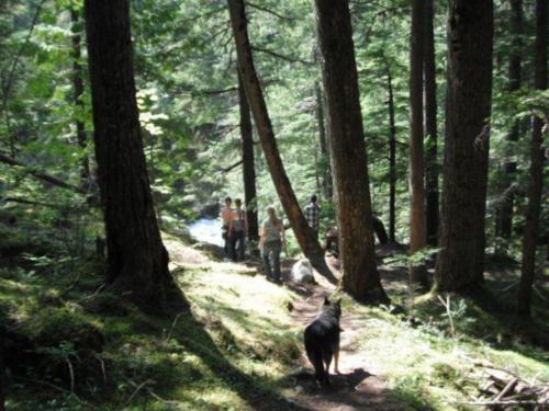 walk_to_seymour_falls